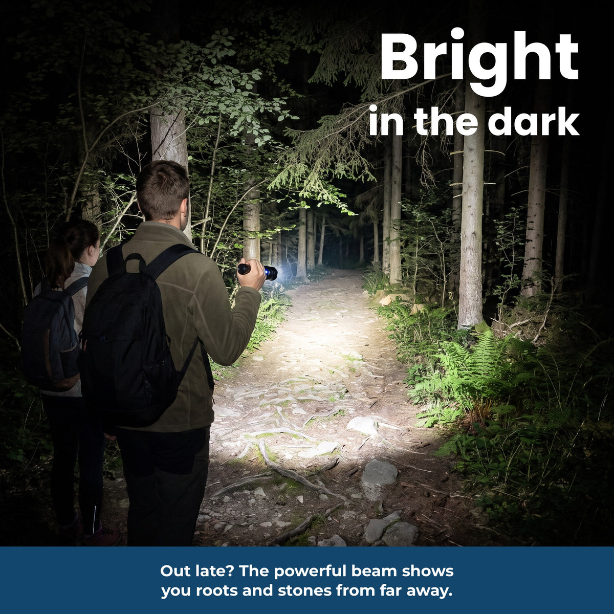 Bright in the dark